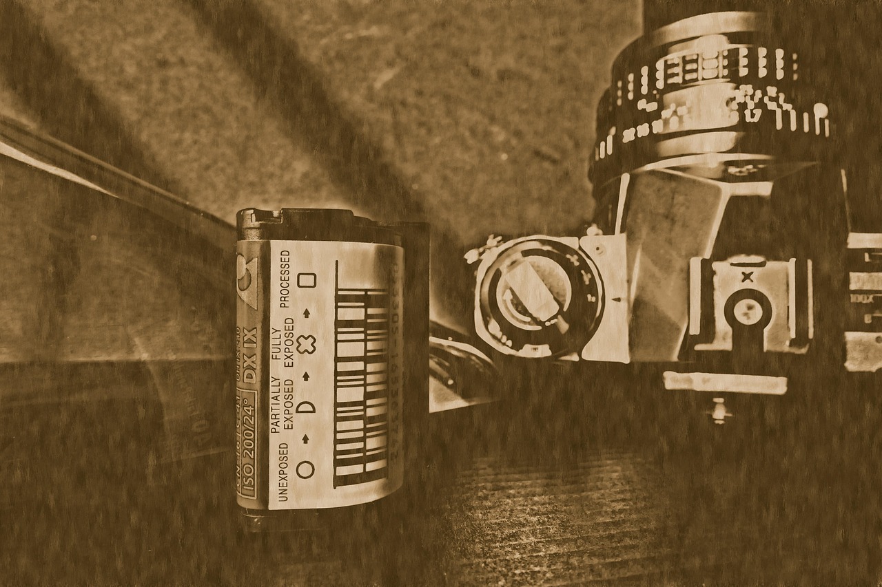아날로그 사진 필름 감성 활용법
