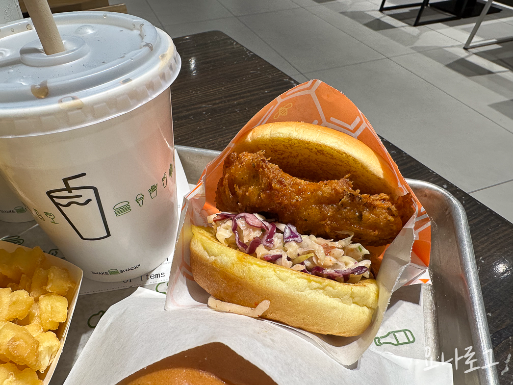 쉑쉑버거 쉑쉑 쉐이크쉑 쉐이크쉑햄버거 햄버거맛집 동탄맛집 동탄 동탄데이트 동탄햄버거 동탄수제버거 동탄맛집추천 동탄롯백 동탄롯백맛집 동탄롯데백화점 동탄롯데백화점맛집 동탄가볼만한곳