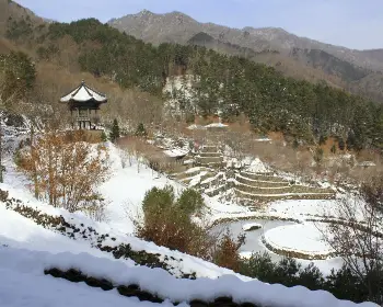 하동 삼성궁_30