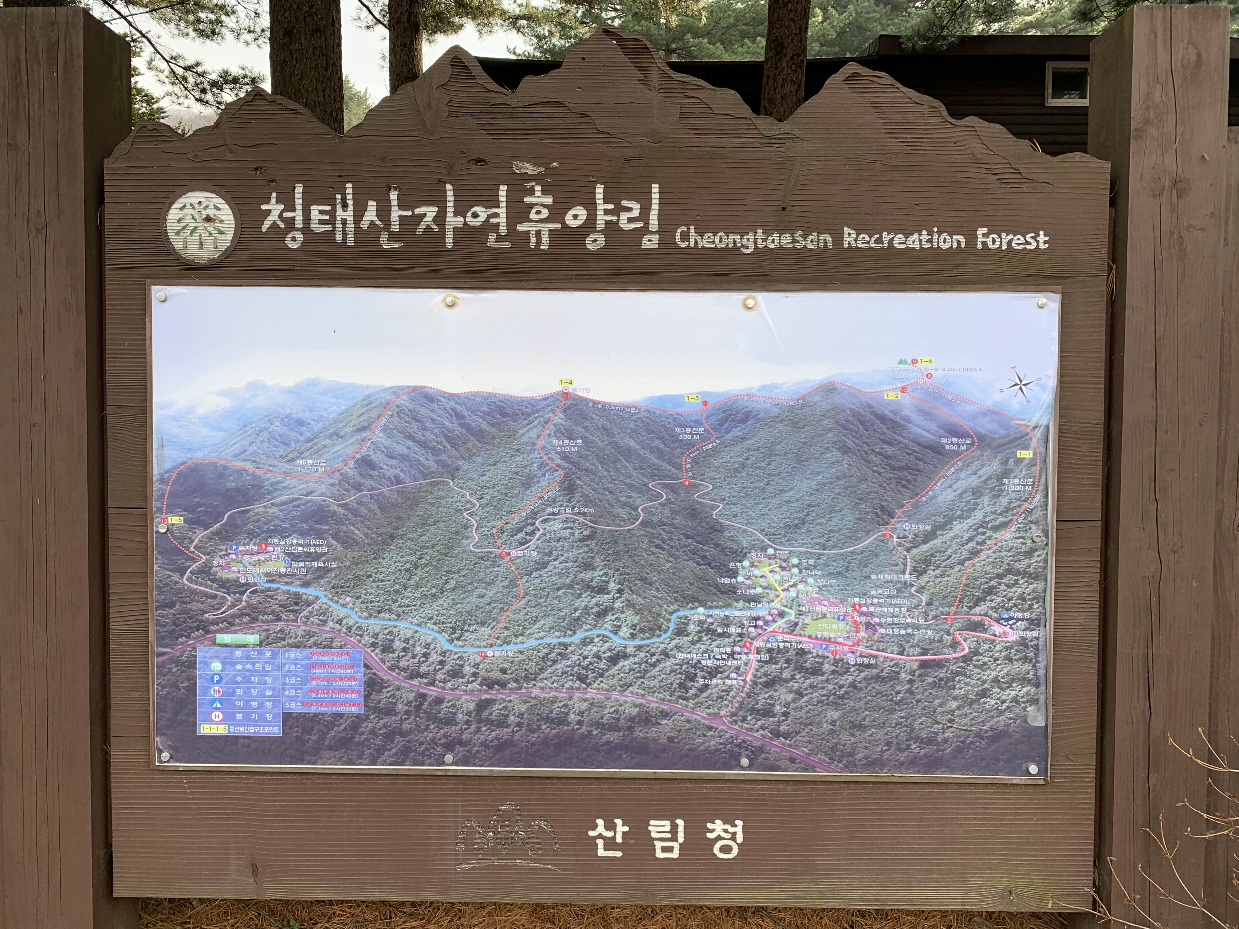 횡성 여행 청태산 자연휴양림