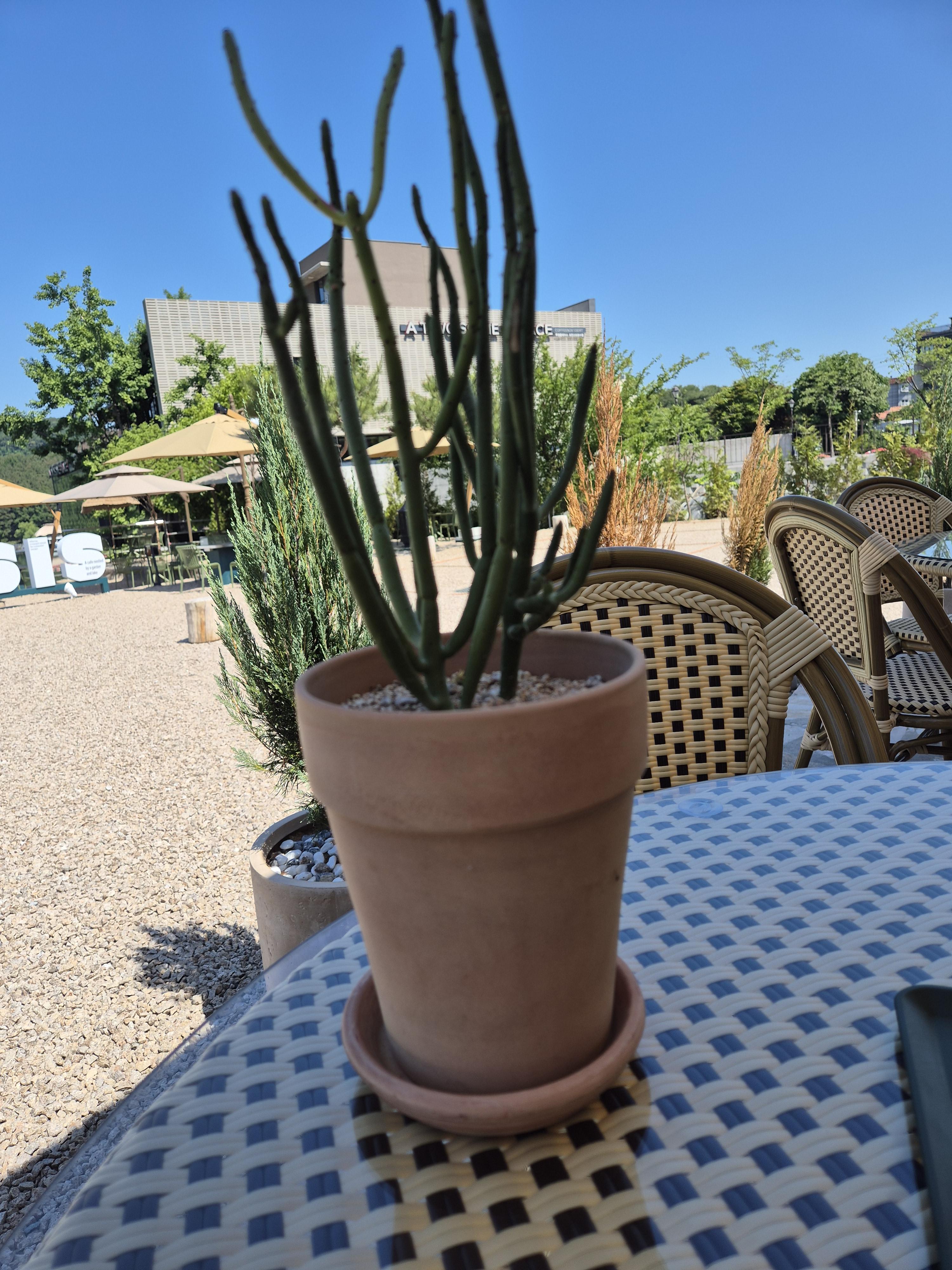 포천 고모리 저수지 맛집<그리네 오아시스>