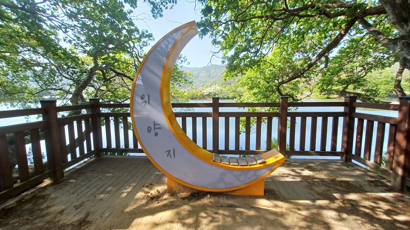 밀양 위양지 이팝나무4