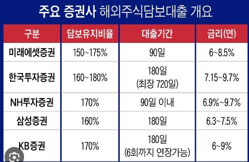 주식담보대출-개요