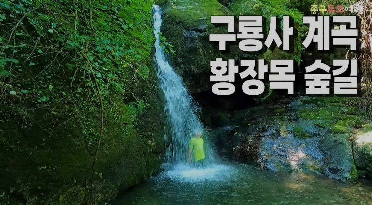 원주11