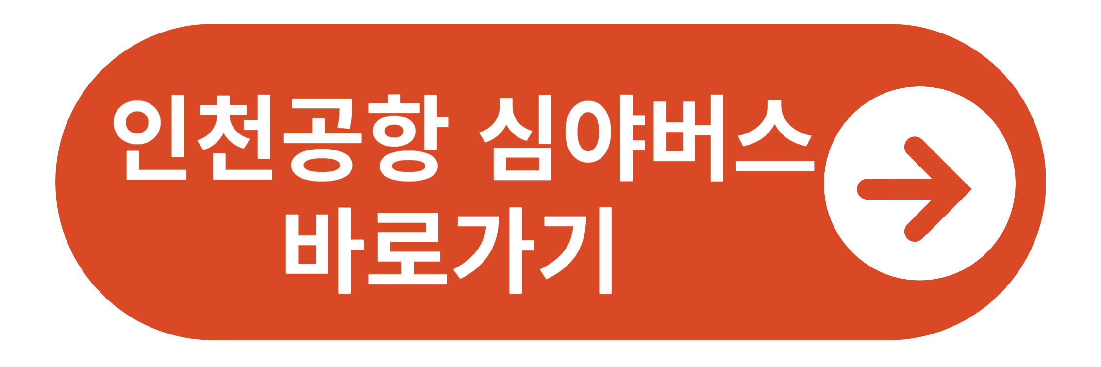 인천공항 심야버스