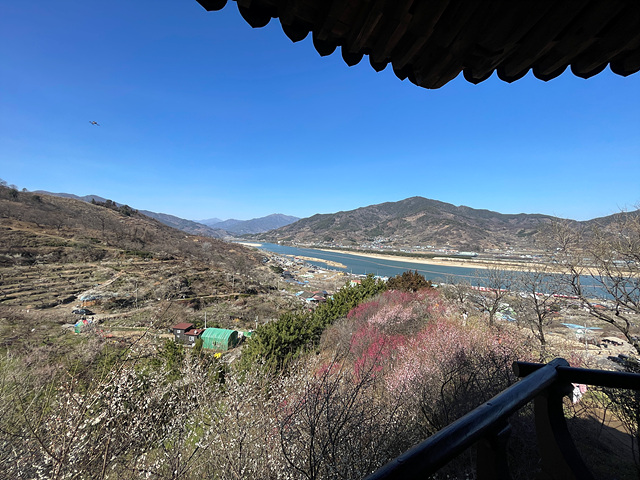 24년 광양 매화 축제 일정 요금 주차