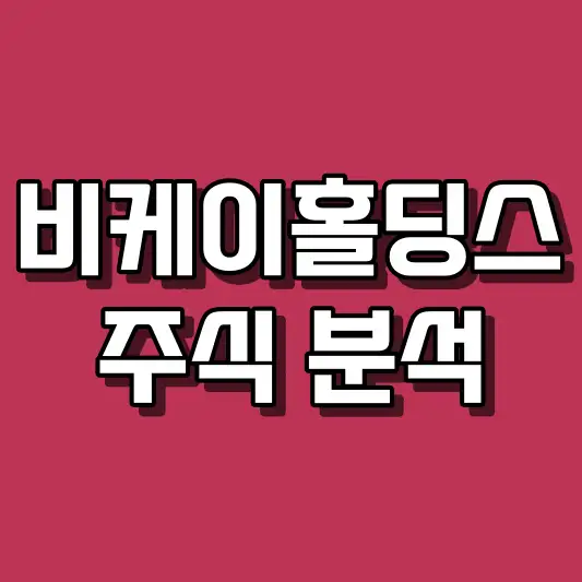 비케이홀딩스 주식 분석