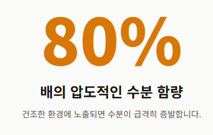 배 보관방법