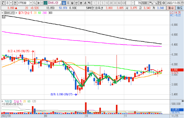 파버나인 11월 25일 일봉 차트