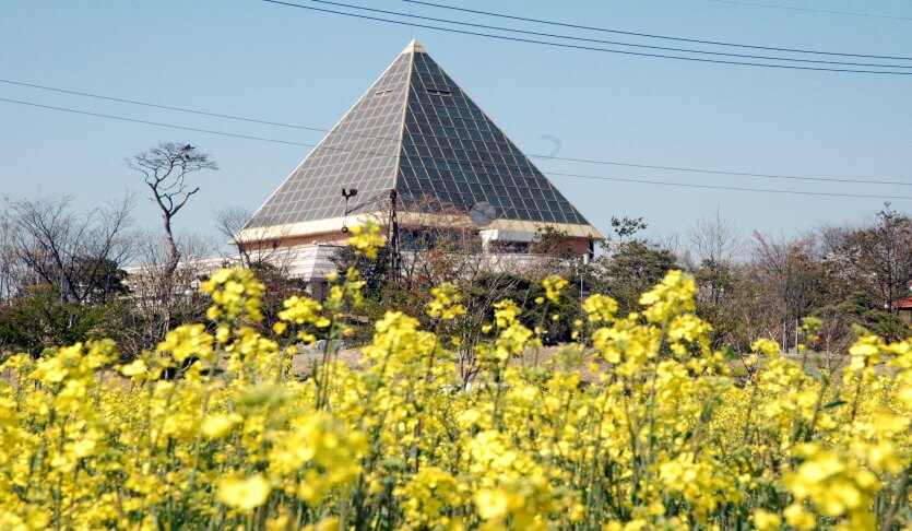 평택 가볼만 한 곳