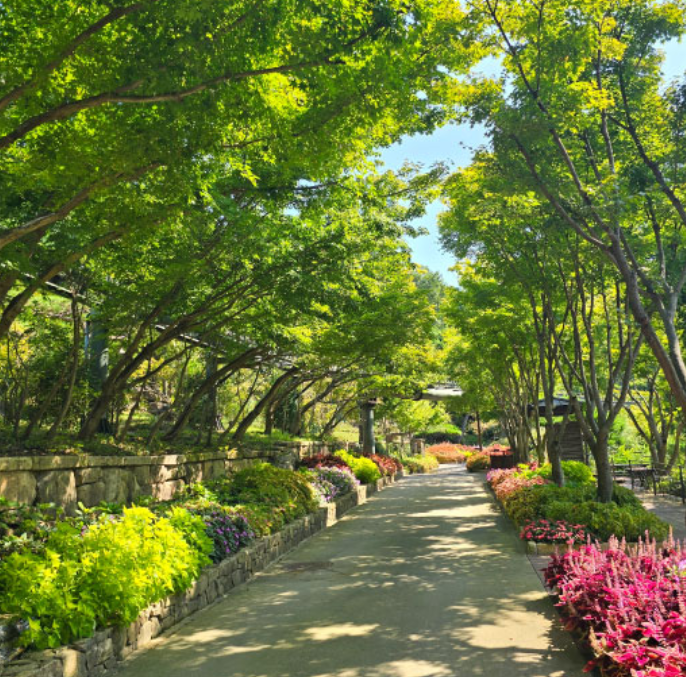 화담숲 예약방법 예약하기 단풍 절정 시기 입장료 모노레일 정보