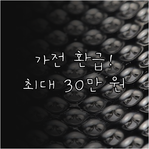 고효율 가전제품 구매비용 환급 대상 ..