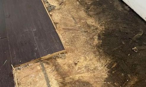 방 바닥 곰팡이 흔적들