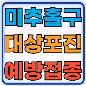인천 미추홀구 대상포진 무료 예방접종 백신 비용지원 신청방법 대상자 준비물