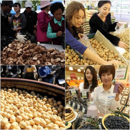 콜레스테롤 낮추는 음식