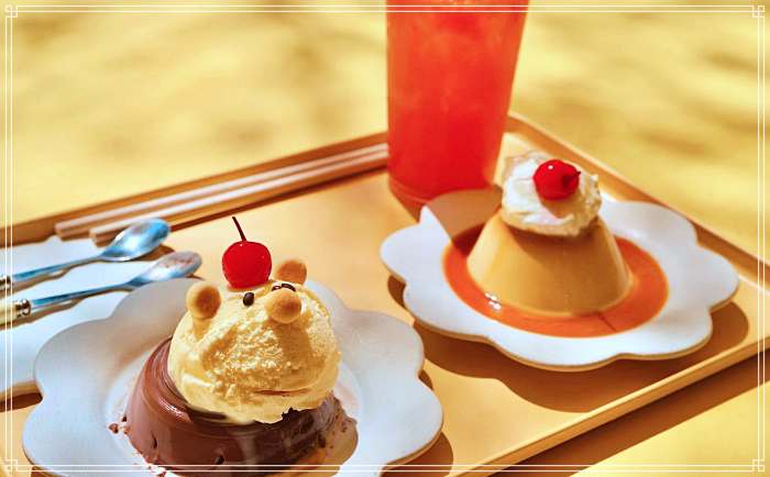 생방송 오늘저녁 용산 신용산 디저트 카페, 메이플푸딩, 밀크푸딩, 초코푸딩, 말차푸딩 맛집