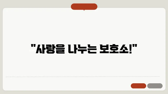 부평강아지보호소에서 봉사하는 모습