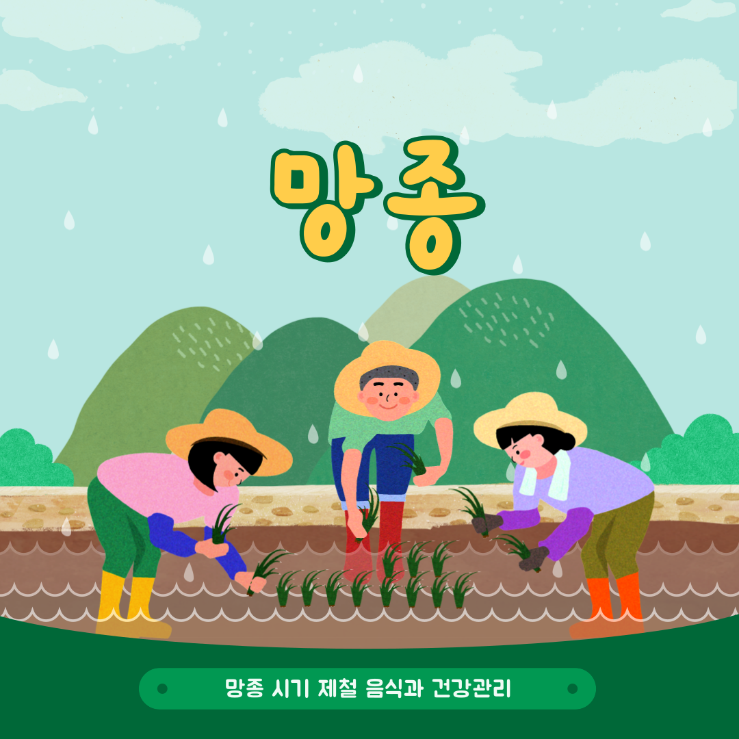 망종 시기 제철 음식과 건강관리