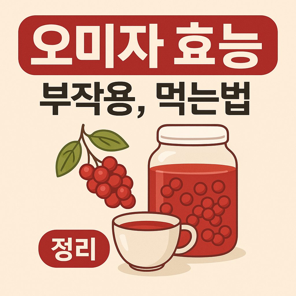 오미자 효능과 부작용, 먹는법을 설명하는 대표 이미지로 건강 효과와 안전한 섭취법을 강조