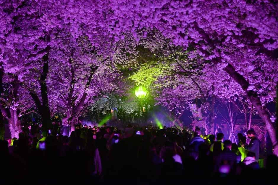 경주 대릉원돌담길 축제