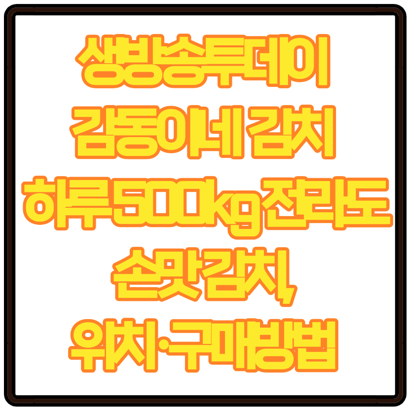 생방송투데이 감동이네 김치 하루 500kg 전라도 손맛 김치, 위치&middot;구매방법 총정리