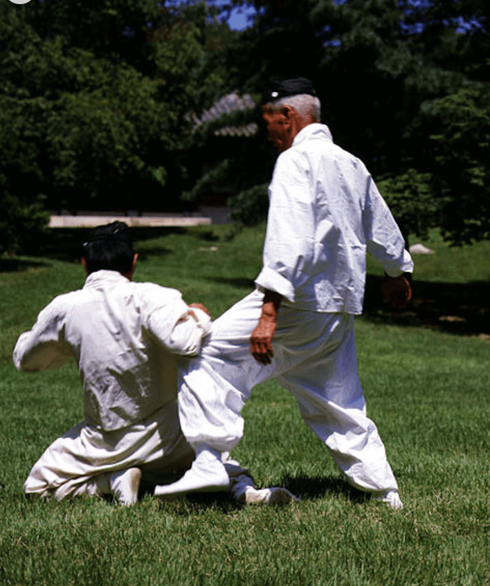 무예 택견과 태권도의 차이점 : 전통무예와 현대무도의 비교