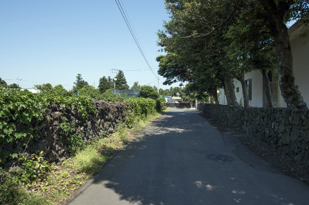 제주 여행 2박3일 추천코스(자유여행)