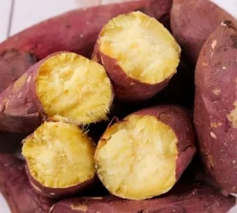 고구마 심는시기 키우는 법_9