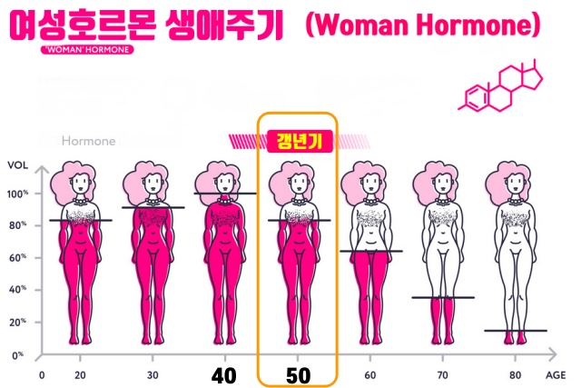 석류 효능 여성 주부 갱년기 증상 좋은 식품 음식,건강 팁줌