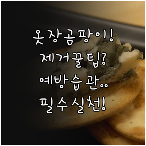 옷장 곰팡이 제거와 예방을 위한 실천..