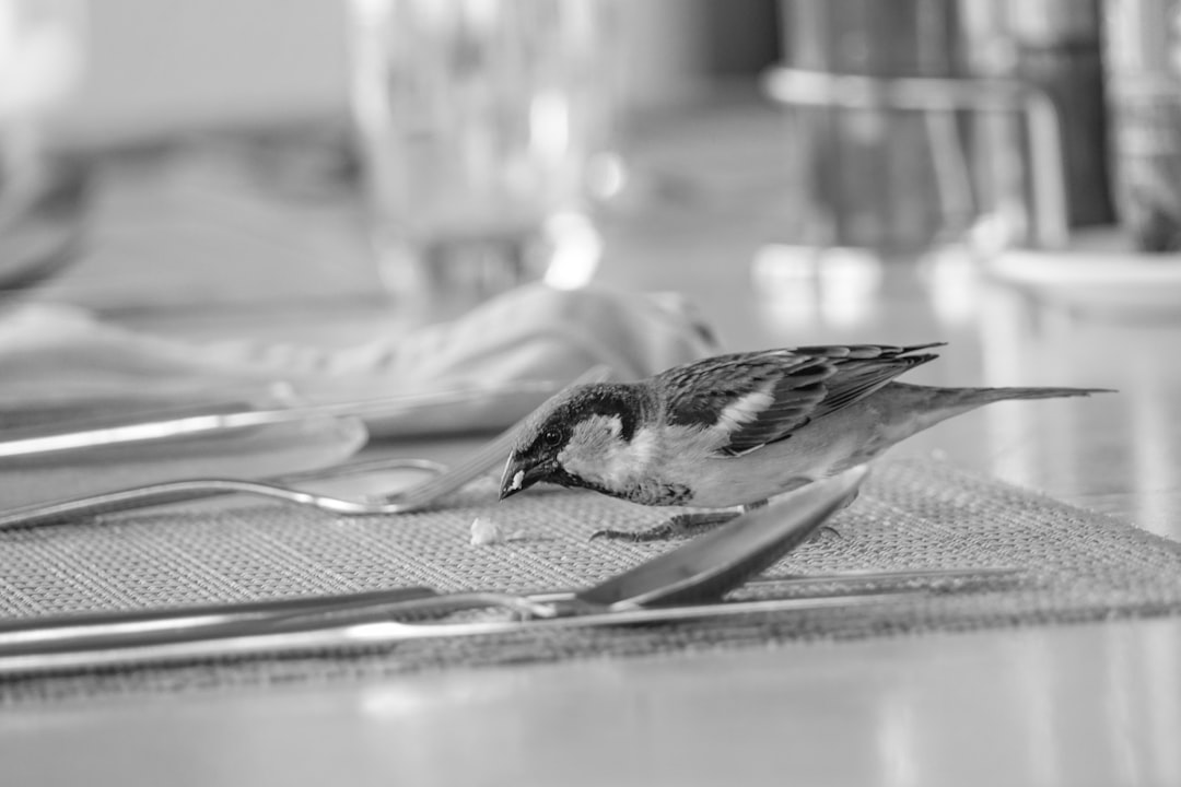 Lunchtime