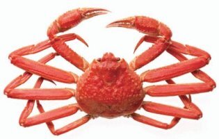 아연 많은 음식