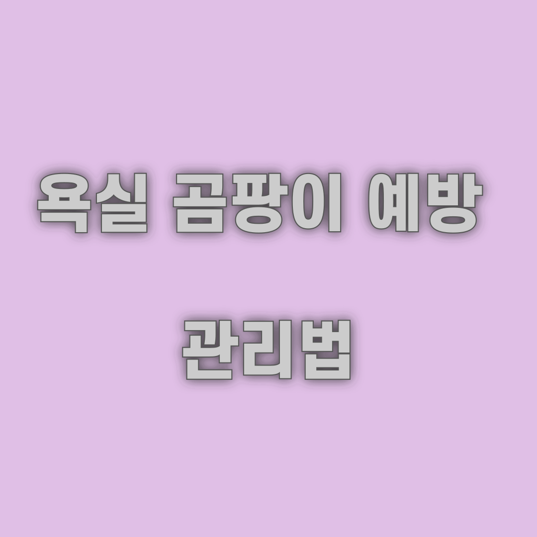 욕실 곰팡이 예방 관리법