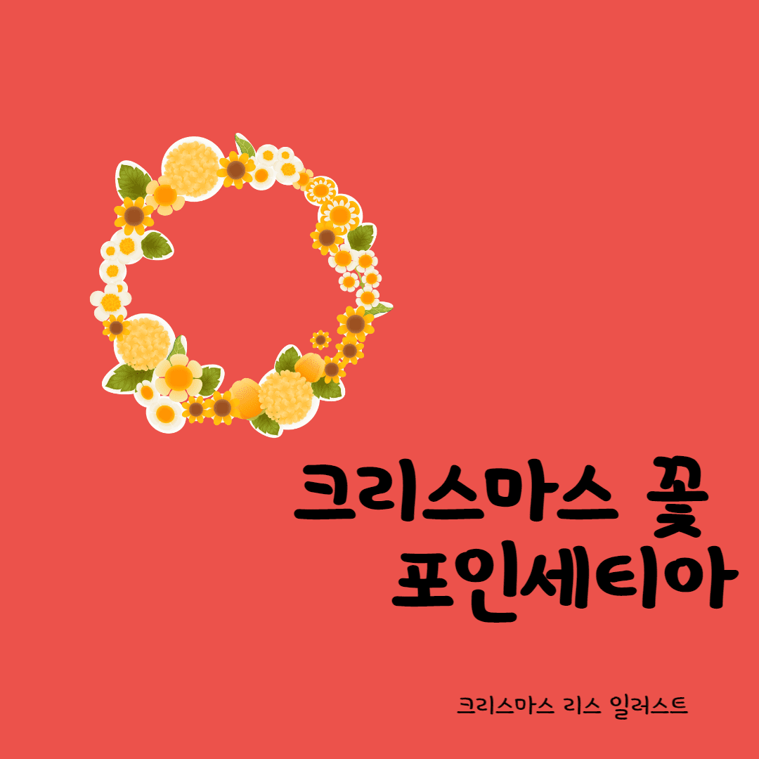 크리스마스 꽃