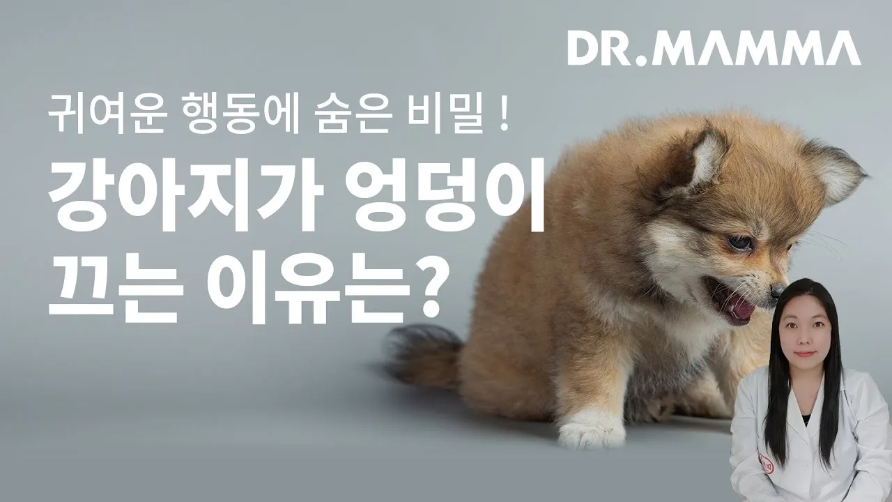 강아지 엉덩이 들이미는 이유 애정표현인지_6