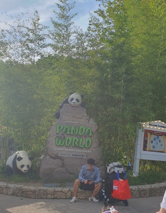 판다월드