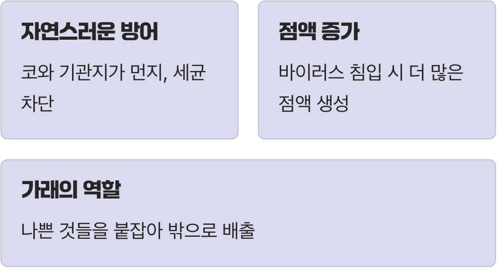 가래는 왜 생기는 걸까요?