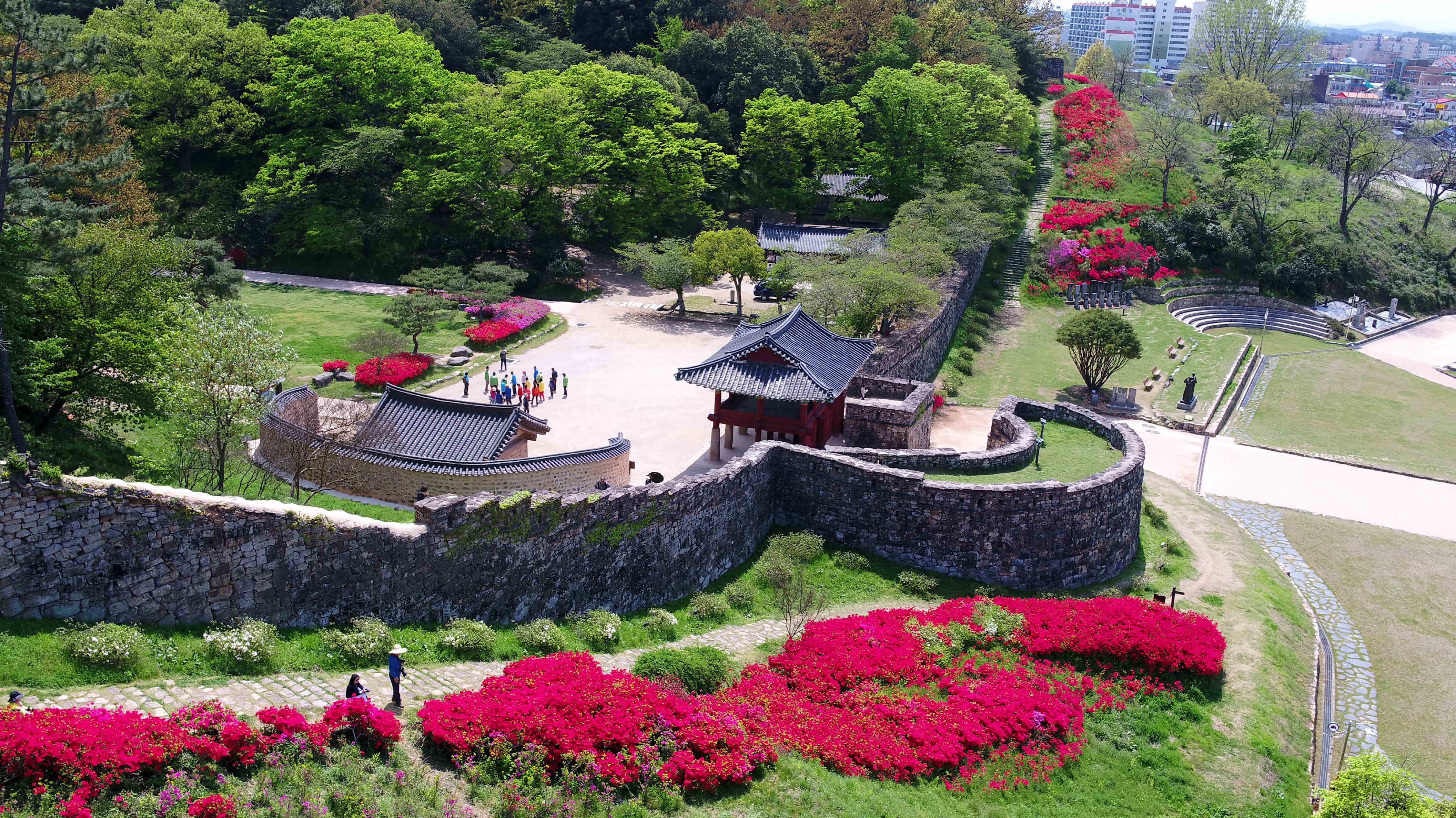 전라도 꽃구경