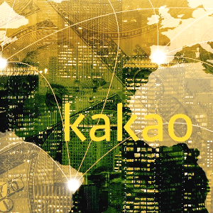 카카오 주가 전망 및 하락 이유