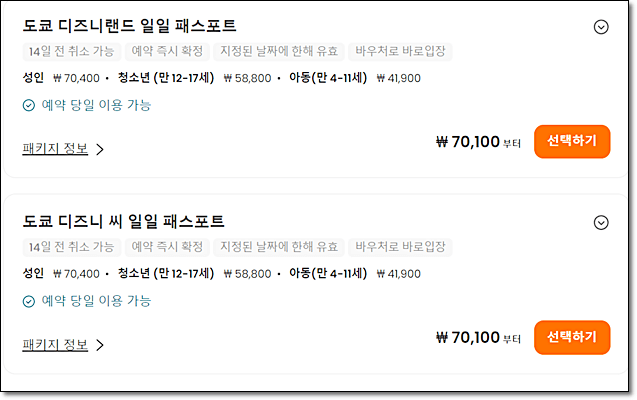 도쿄 디즈니랜드 티켓 구매