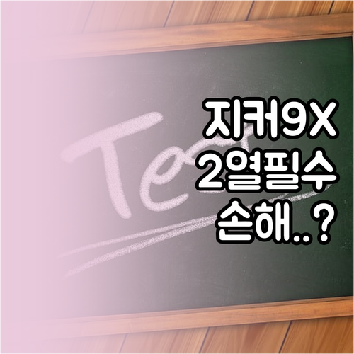 지커 9X 2열 모델 구매 전 꼭 확..