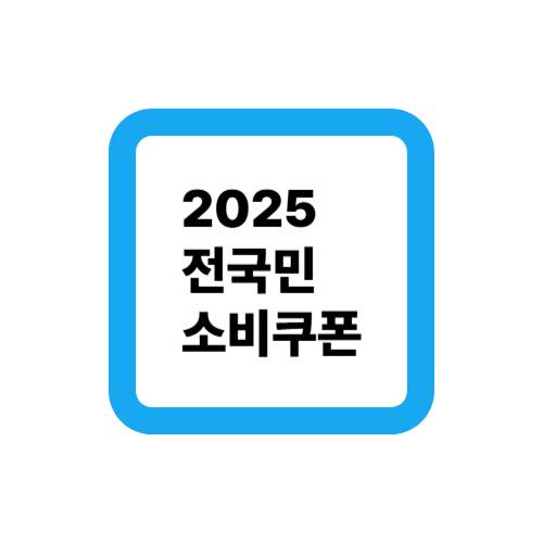 2025년 전국민 소비쿠폰