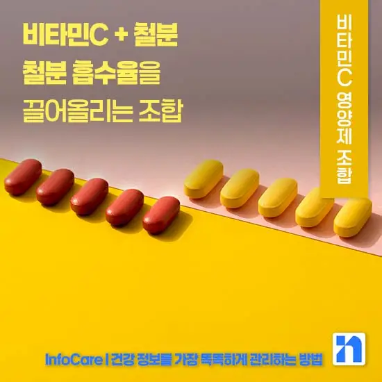 비타민C 같이 먹으면 좋은 영양제 조합