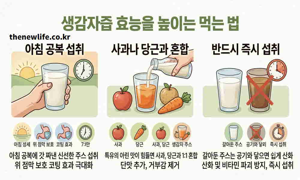 생감자즙 효능 높이는 먹는 법