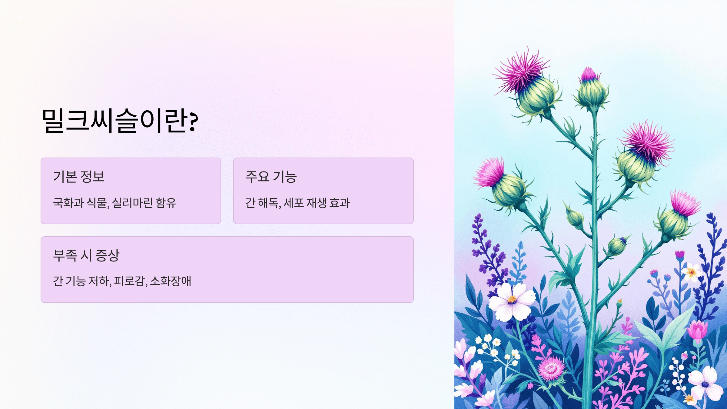 밀크씨슬 사진입니다.