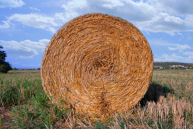 2025년 최신 농지연금 가입조건&amp;#44; 예상 수령액