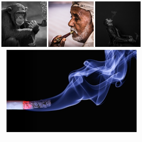 금연 성공 레시피!