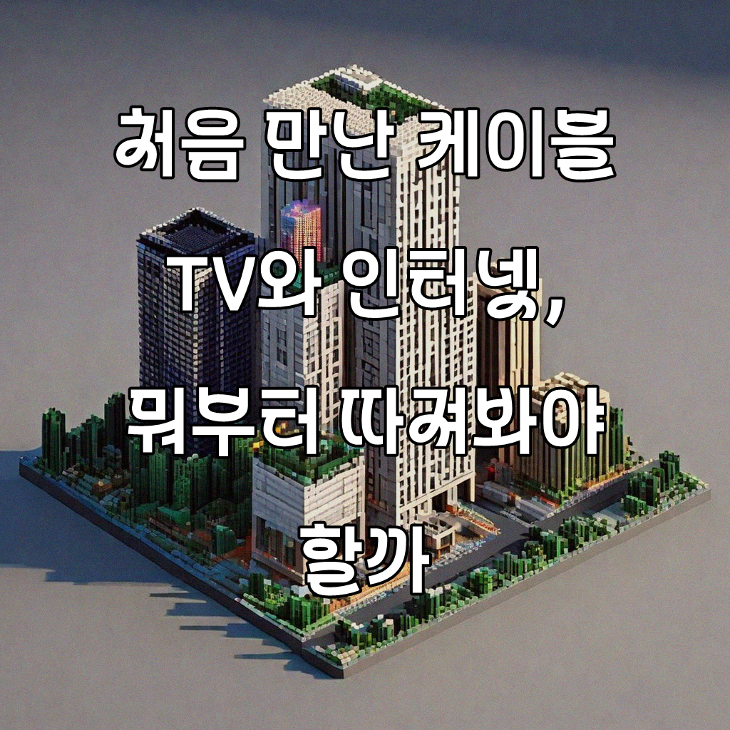 케이블 TV 유선 방송 인터넷 광랜 요금 채널 선택 가이드