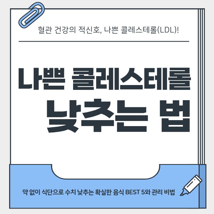 나쁜 콜레스테롤(LDL) 수치 낮추는 음식