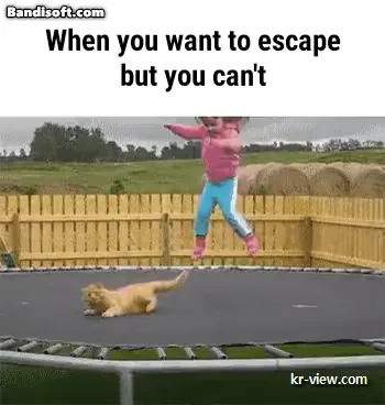 img.webp?credential=yqXZFxpELC7KVnFOS48ylbz2pIh7yKj8&expires=1767193199&allow_ip=&allow_referer=&signature=3bH8JE24z7yiRldIsAQhEP2Tos4%3D